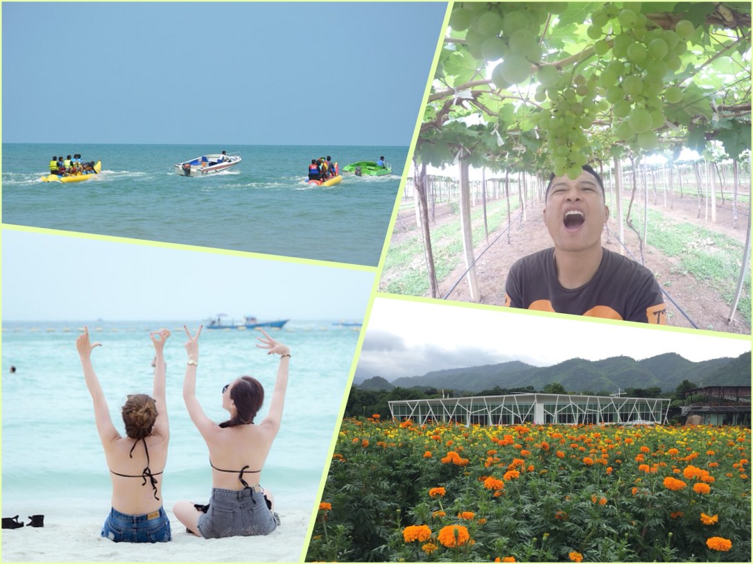 相片 2018-5-7 下午2 33 11