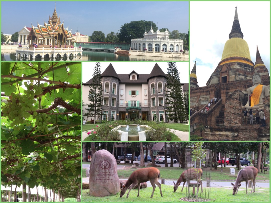 相片 2018-5-9 上午8 59 13